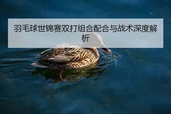 羽毛球世锦赛双打组合配合与战术深度解析